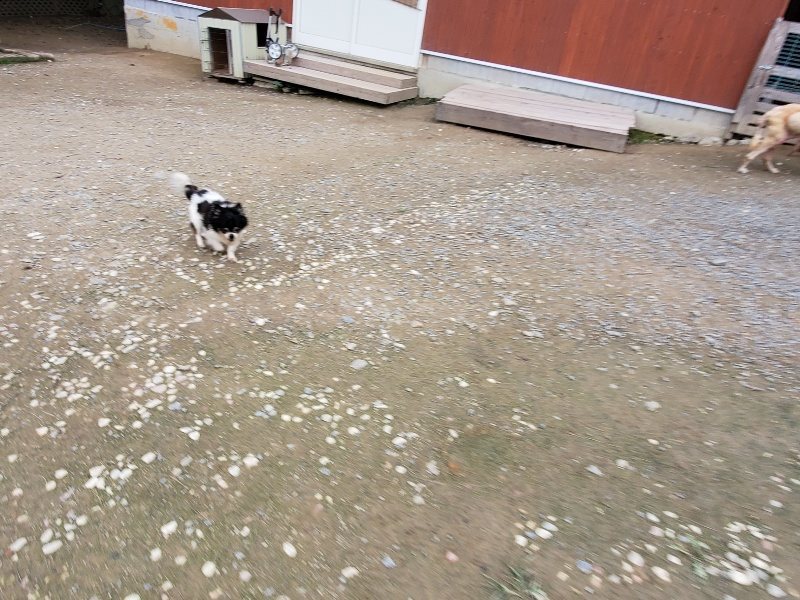 f:id:roukenhome-ann:20191024063352j:plain