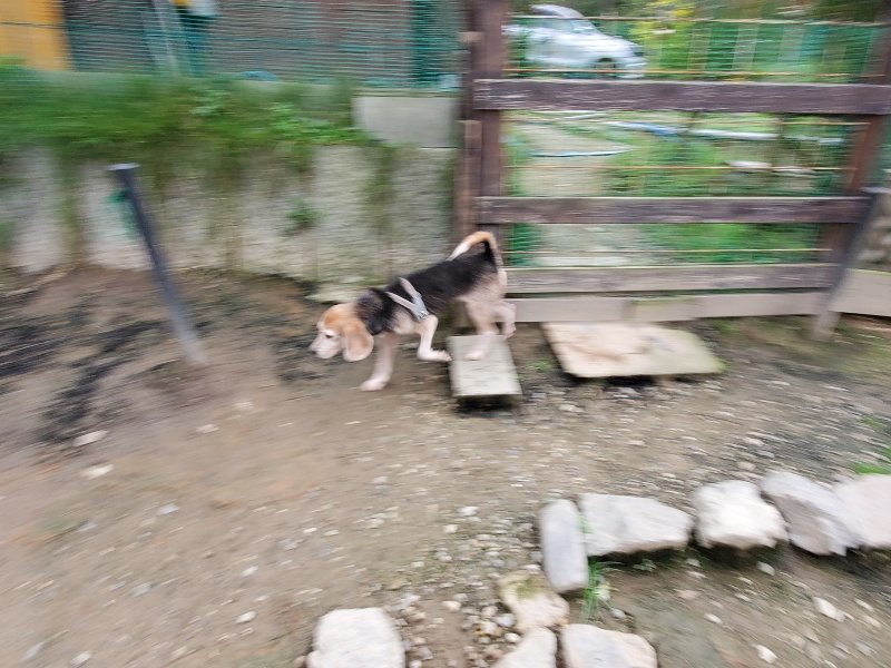f:id:roukenhome-ann:20191024063403j:plain