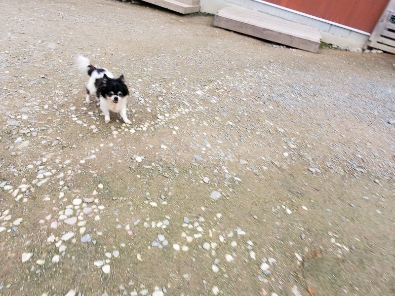 f:id:roukenhome-ann:20191024063415j:plain