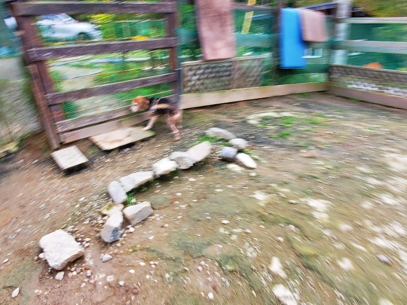 f:id:roukenhome-ann:20191024063425j:plain