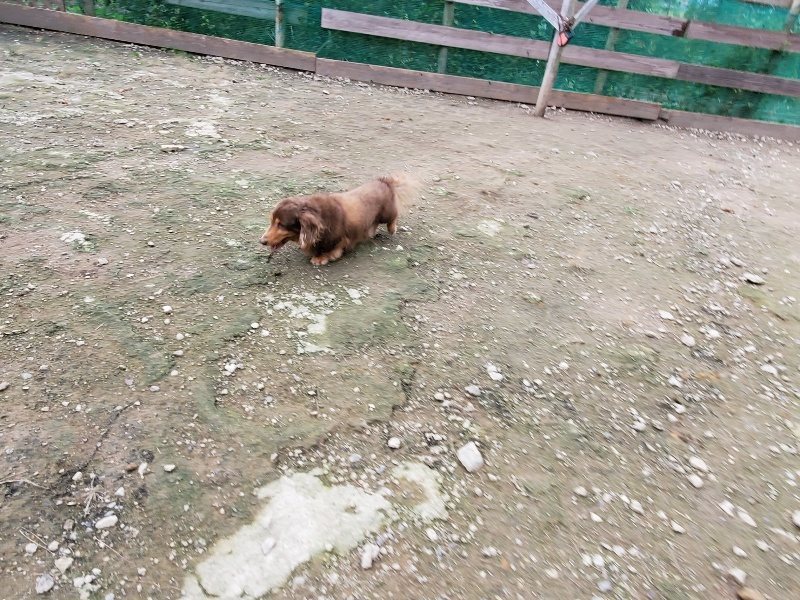 f:id:roukenhome-ann:20191024063448j:plain