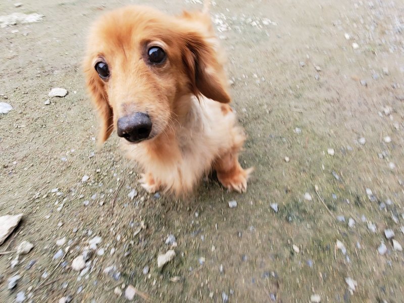 f:id:roukenhome-ann:20191024063456j:plain