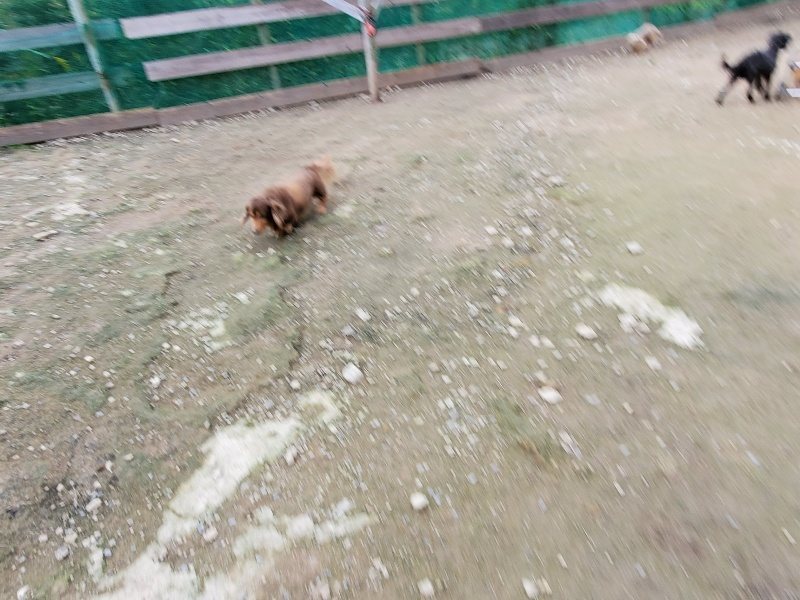 f:id:roukenhome-ann:20191024063502j:plain