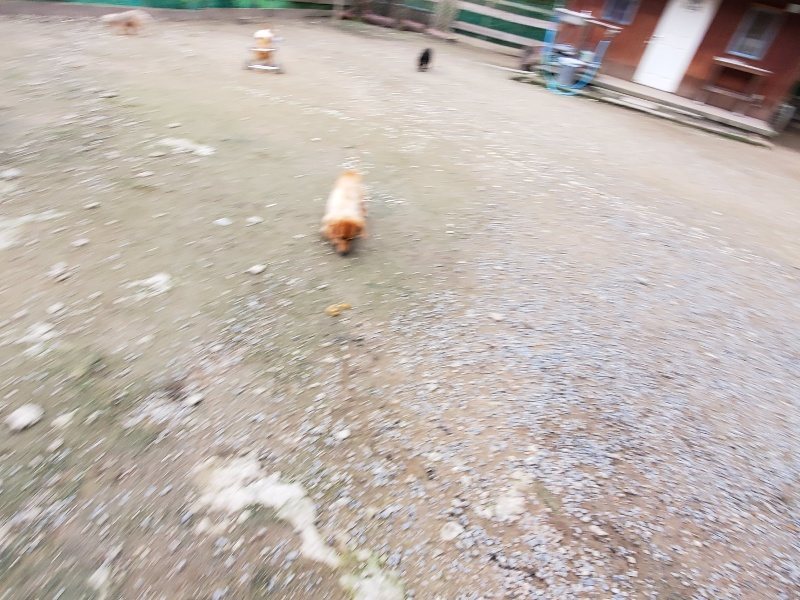 f:id:roukenhome-ann:20191024063508j:plain