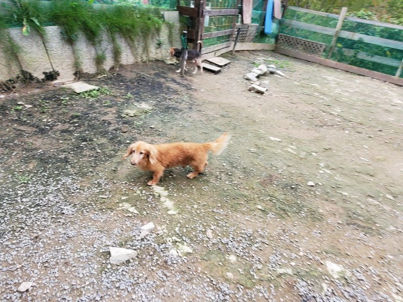 f:id:roukenhome-ann:20191024063529j:plain