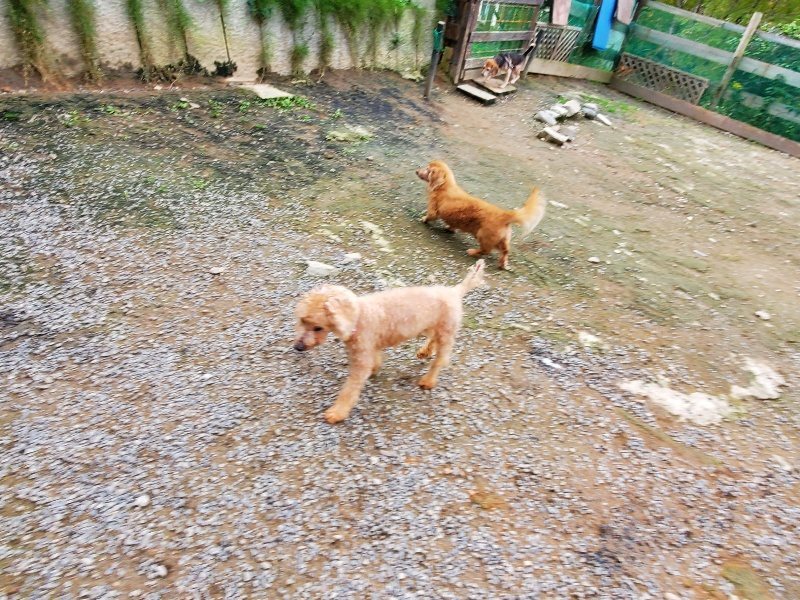 f:id:roukenhome-ann:20191024063538j:plain