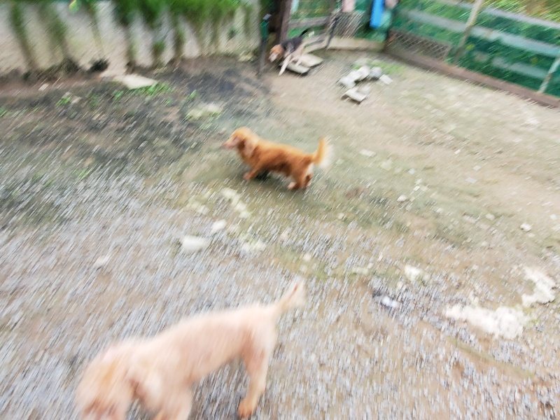 f:id:roukenhome-ann:20191024063545j:plain