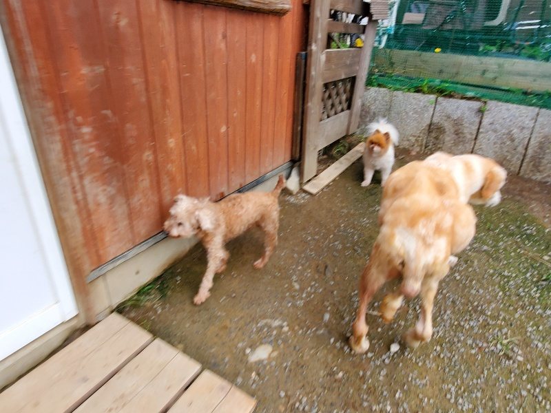 f:id:roukenhome-ann:20191024063606j:plain