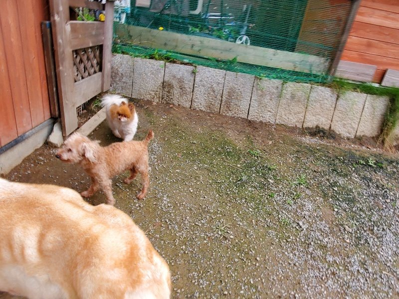 f:id:roukenhome-ann:20191024063624j:plain