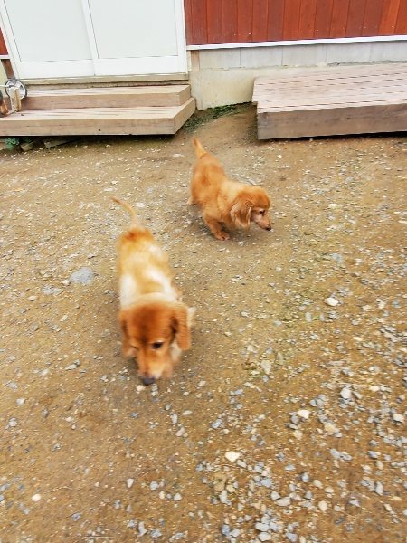 f:id:roukenhome-ann:20191024063746j:plain