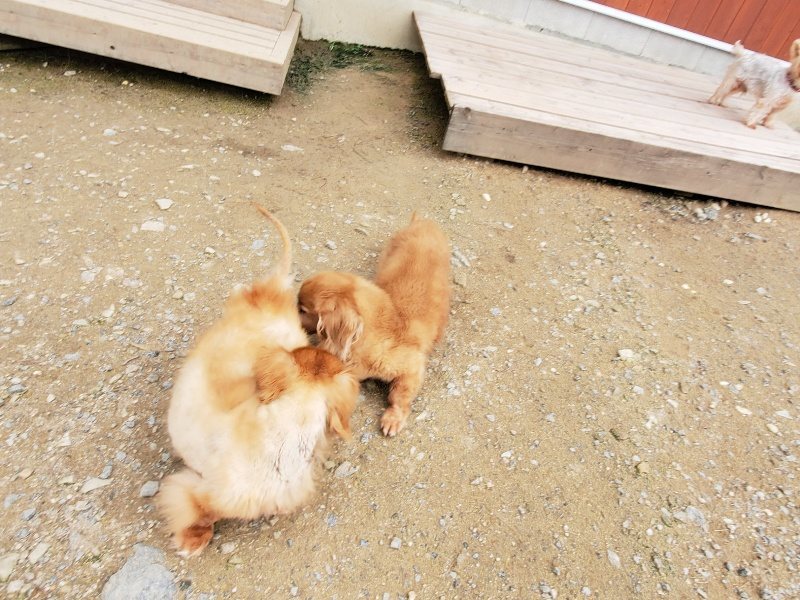 f:id:roukenhome-ann:20191024063807j:plain