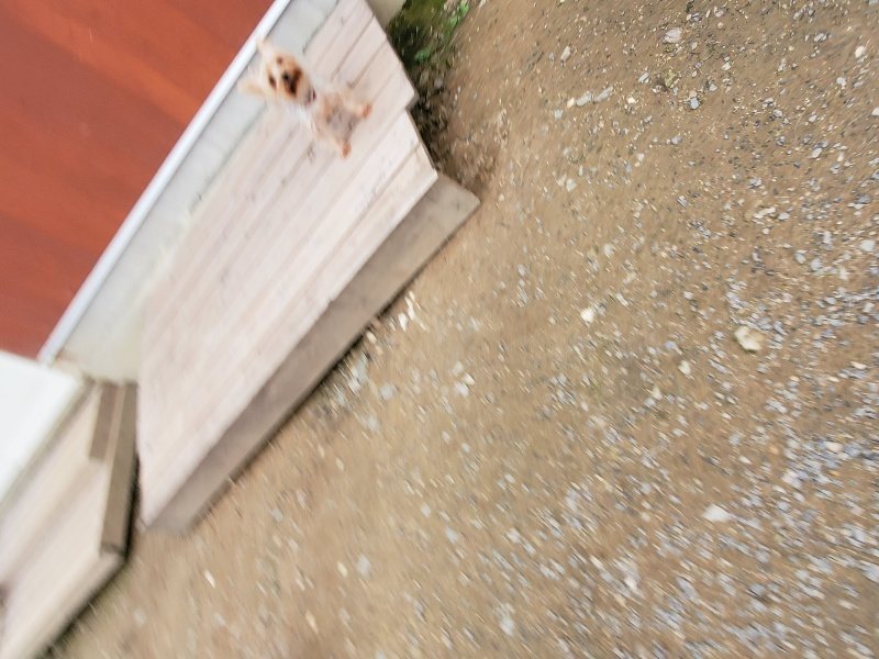 f:id:roukenhome-ann:20191024063815j:plain