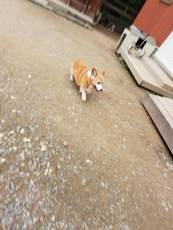 f:id:roukenhome-ann:20191024063825j:plain
