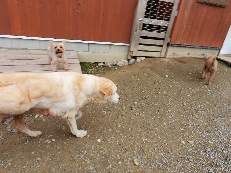 f:id:roukenhome-ann:20191024063833j:plain