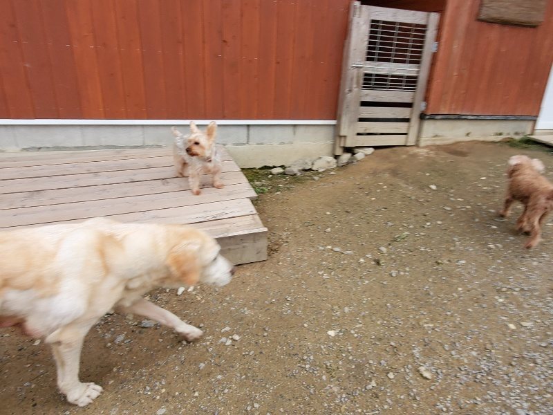 f:id:roukenhome-ann:20191024063840j:plain
