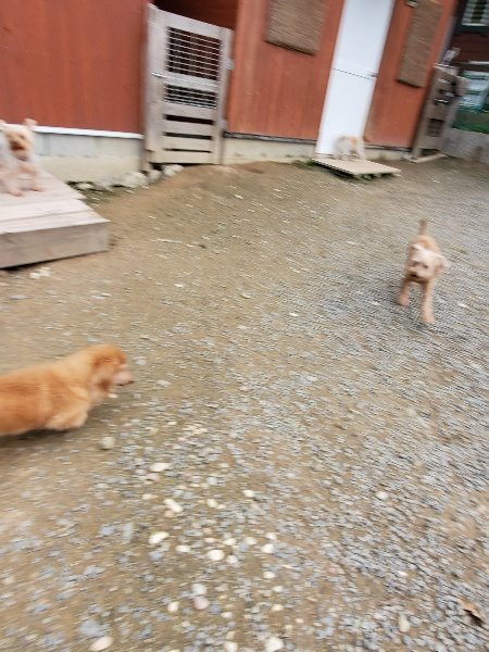 f:id:roukenhome-ann:20191024063848j:plain