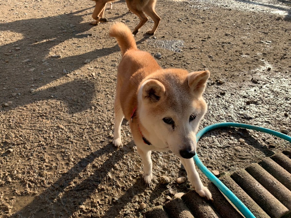 f:id:roukenhome-ann:20191027052529j:plain