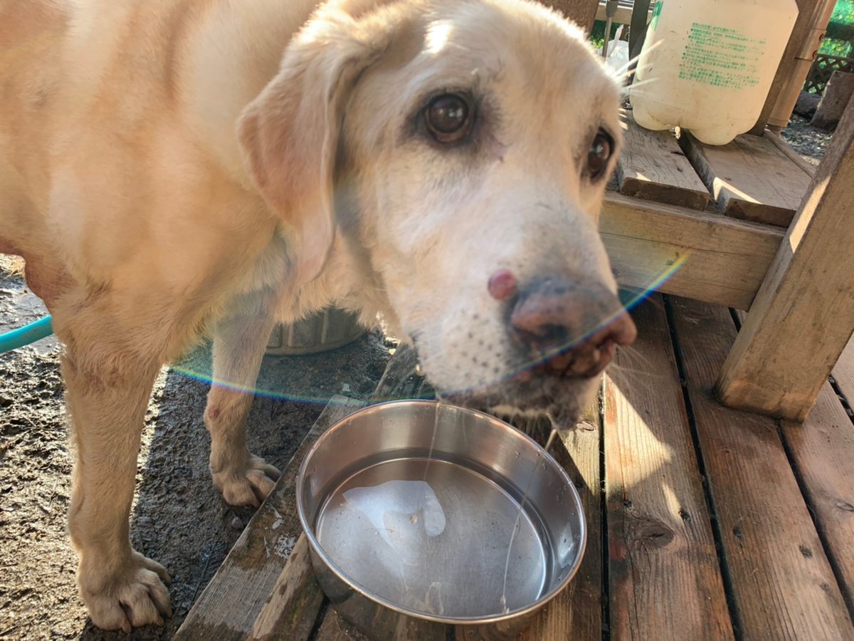 f:id:roukenhome-ann:20191027052542j:plain
