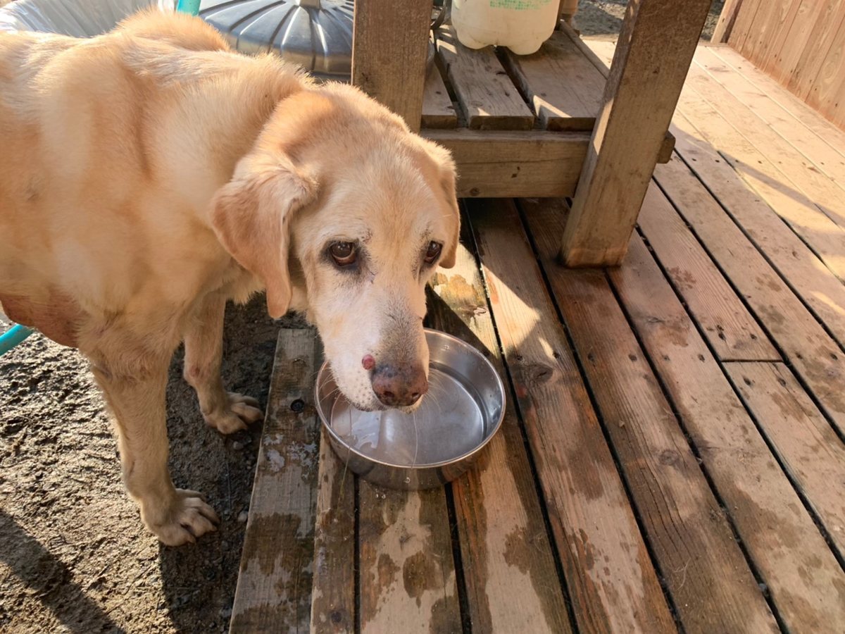 f:id:roukenhome-ann:20191027052600j:plain
