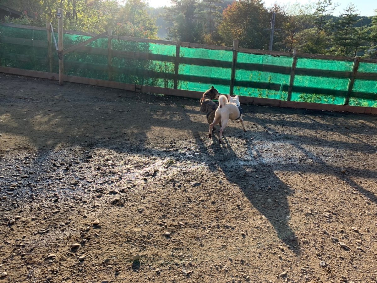 f:id:roukenhome-ann:20191027052619j:plain