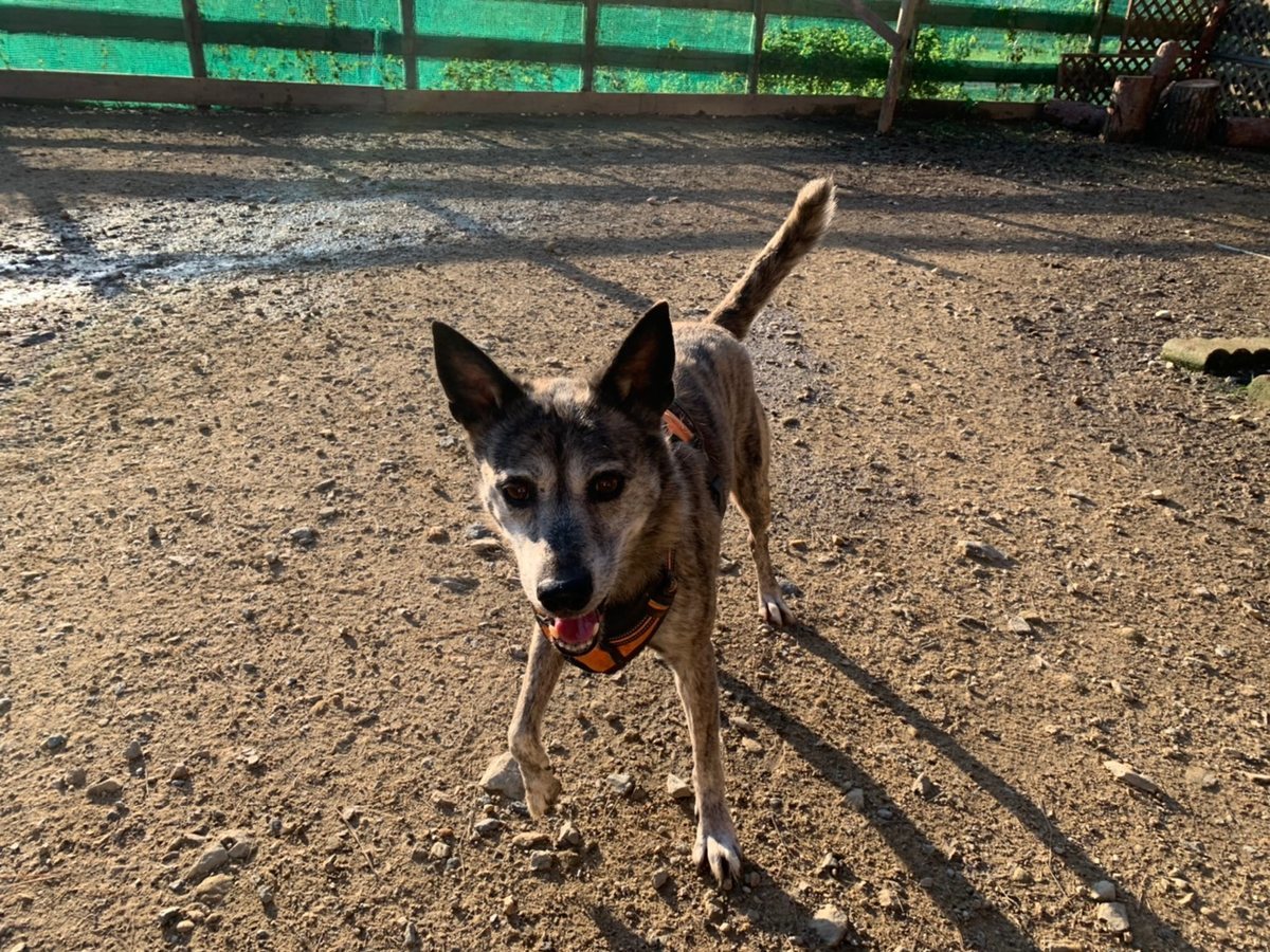 f:id:roukenhome-ann:20191027052637j:plain