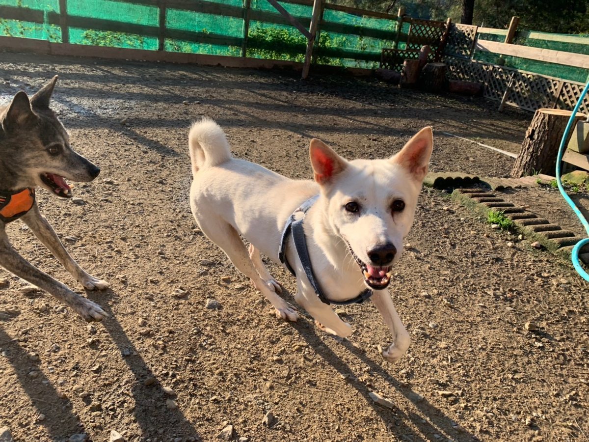 f:id:roukenhome-ann:20191027052655j:plain