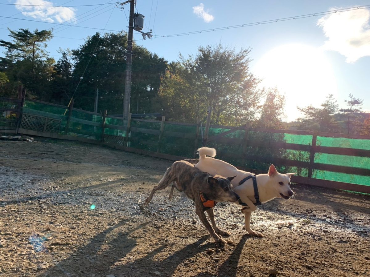f:id:roukenhome-ann:20191027052713j:plain