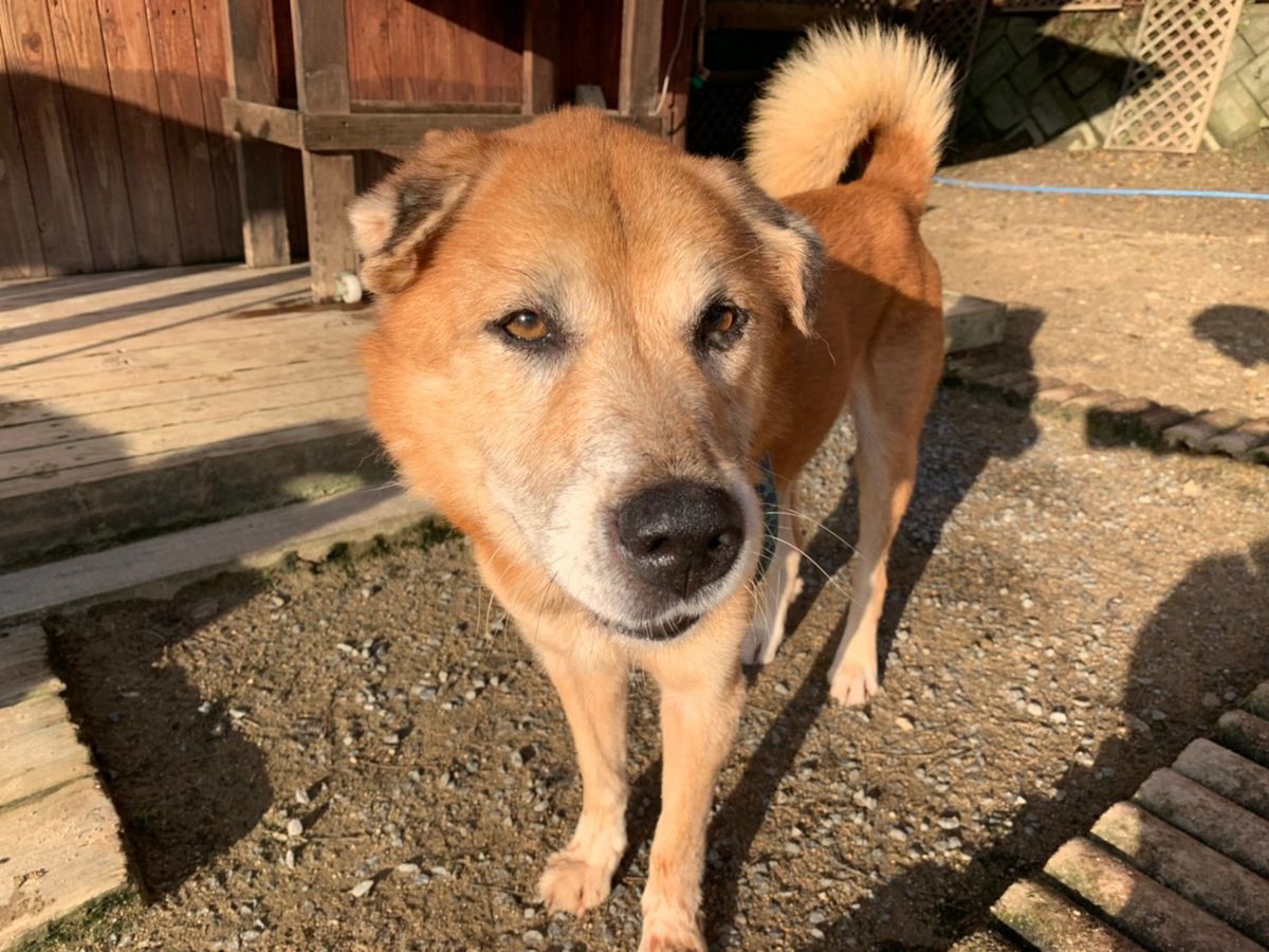 f:id:roukenhome-ann:20191027052726j:plain