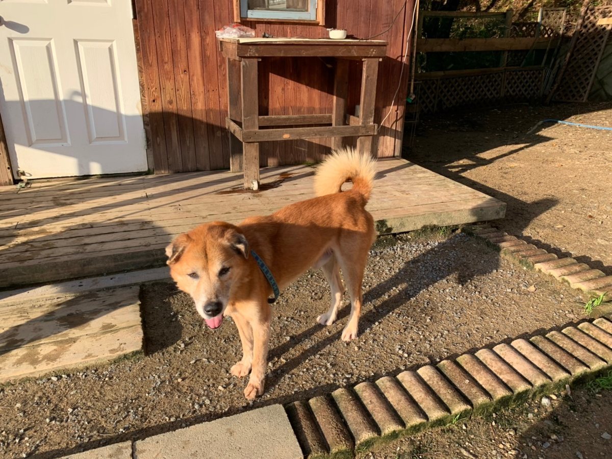 f:id:roukenhome-ann:20191027052910j:plain