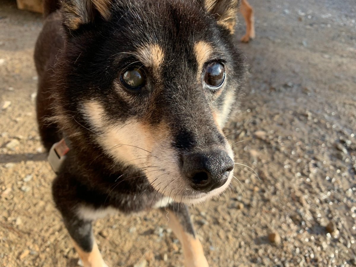 f:id:roukenhome-ann:20191027052926j:plain