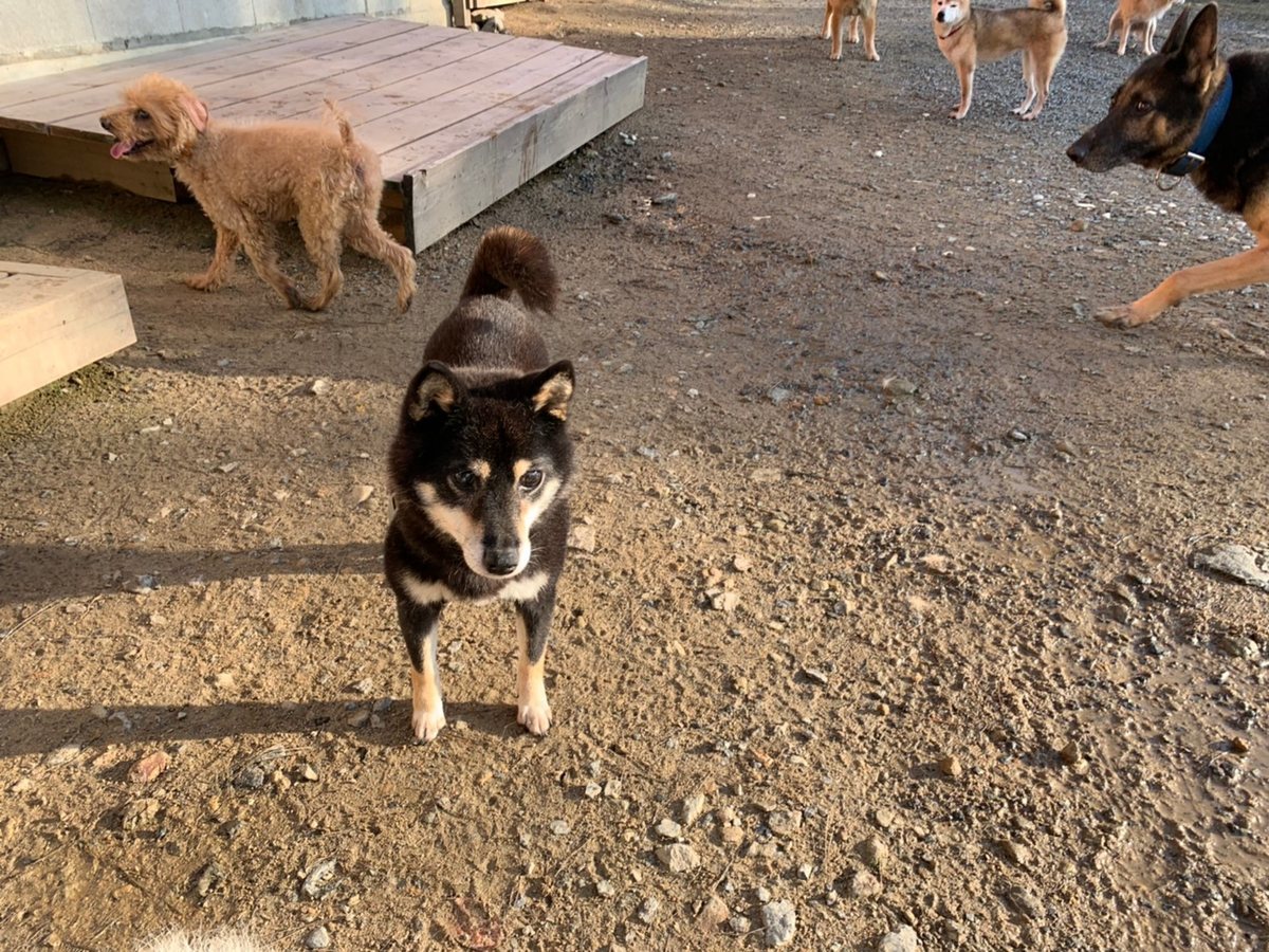 f:id:roukenhome-ann:20191027052948j:plain