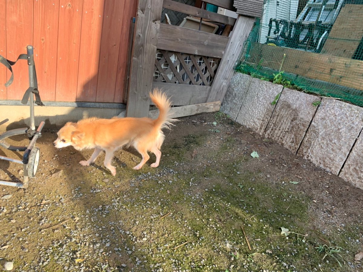 f:id:roukenhome-ann:20191027053030j:plain