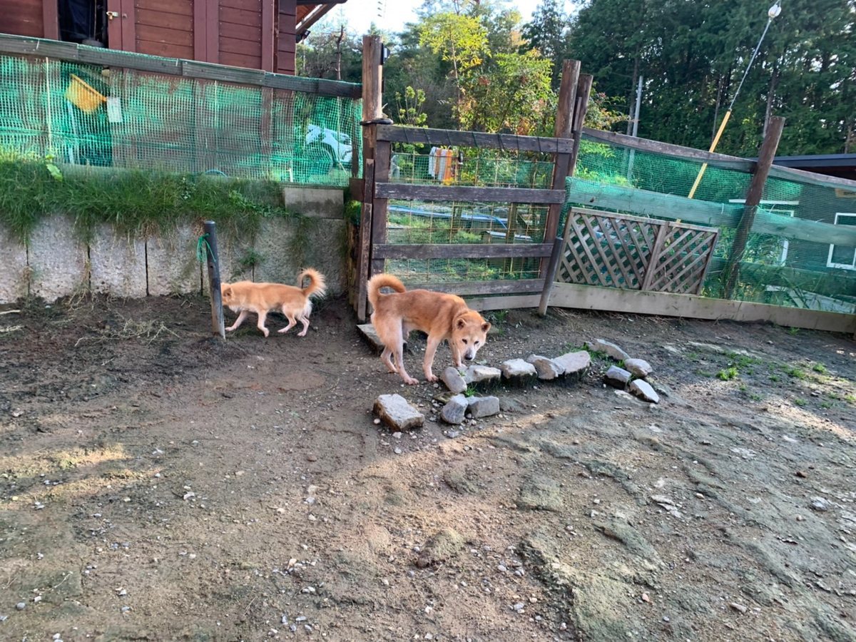 f:id:roukenhome-ann:20191027053107j:plain