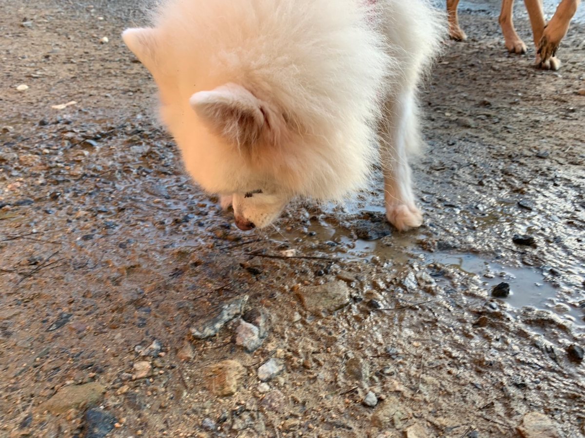 f:id:roukenhome-ann:20191027053144j:plain
