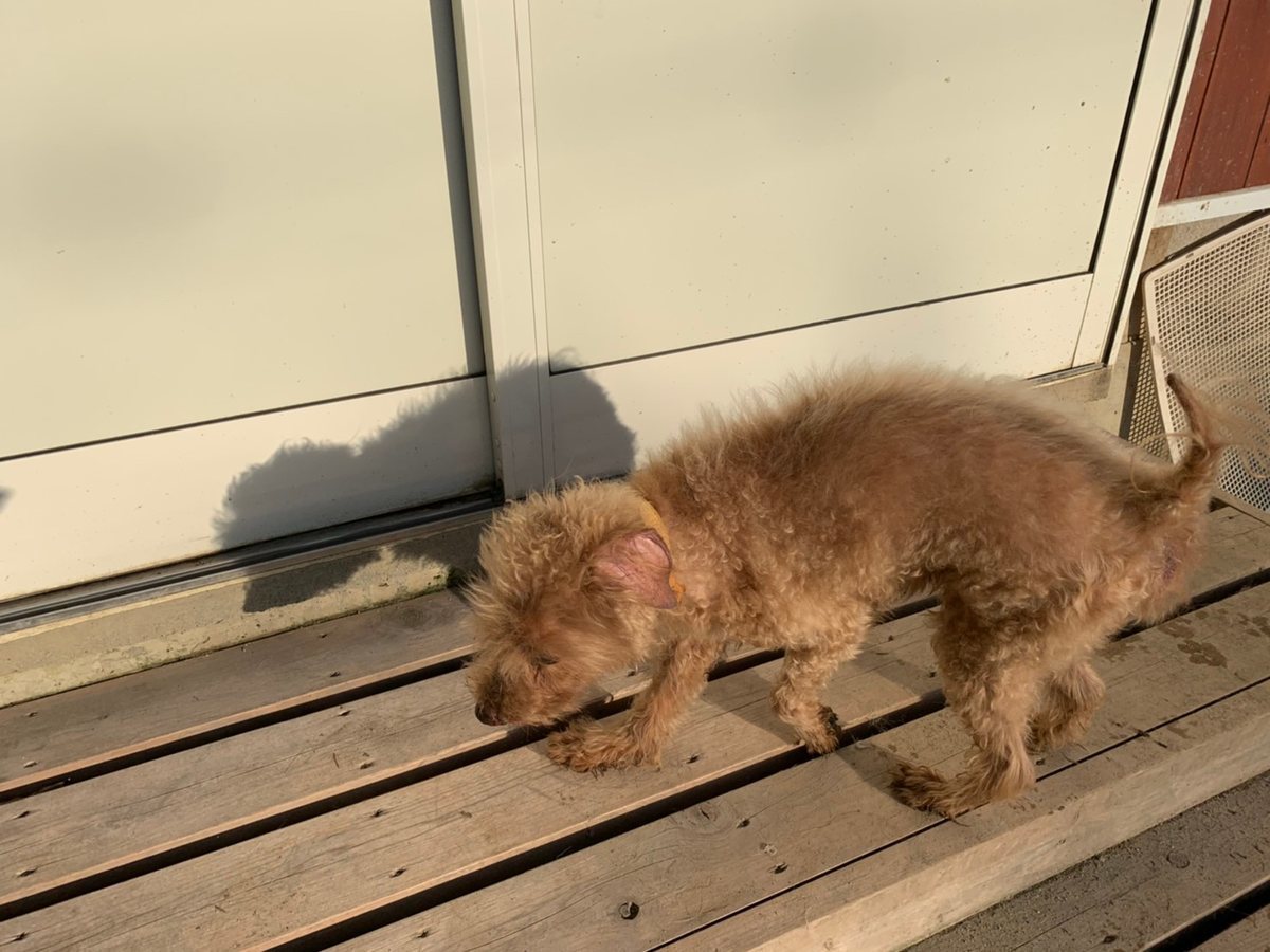 f:id:roukenhome-ann:20191027053151j:plain