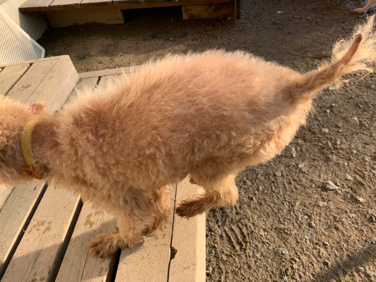 f:id:roukenhome-ann:20191027053204j:plain