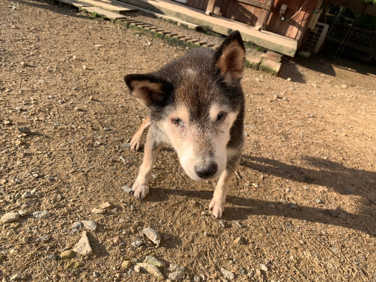 f:id:roukenhome-ann:20191027053214j:plain