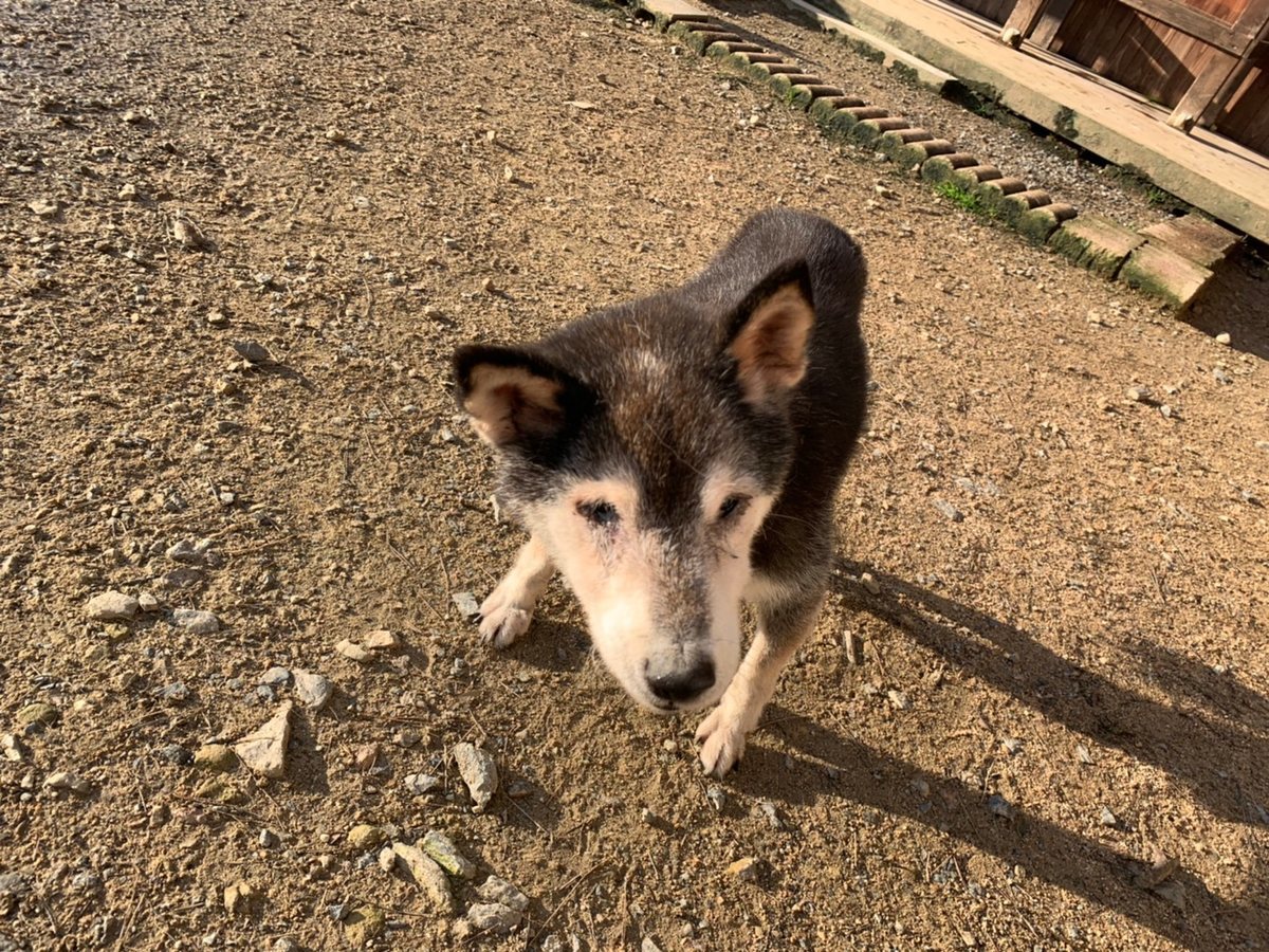 f:id:roukenhome-ann:20191027053224j:plain