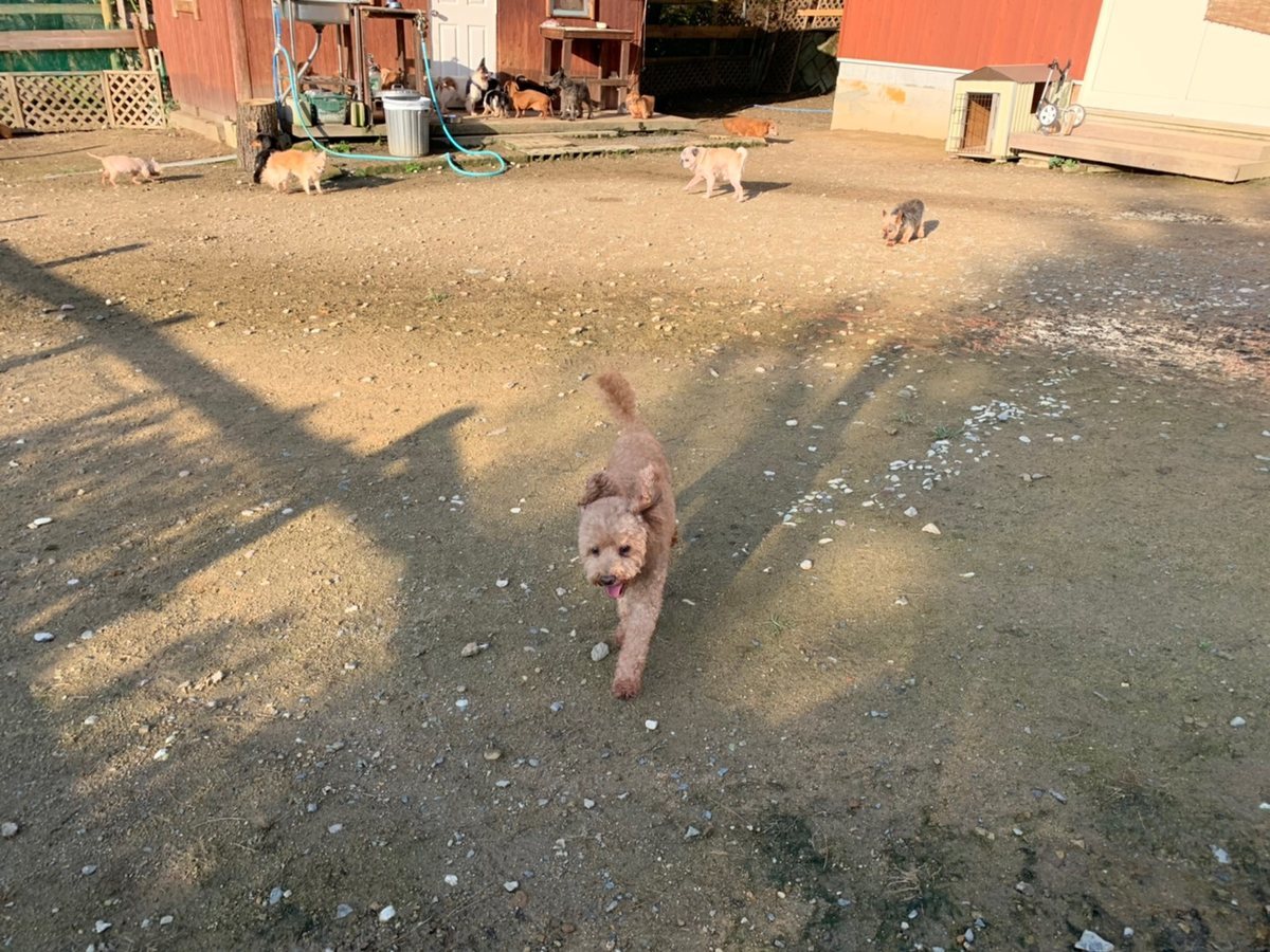 f:id:roukenhome-ann:20191027062335j:plain