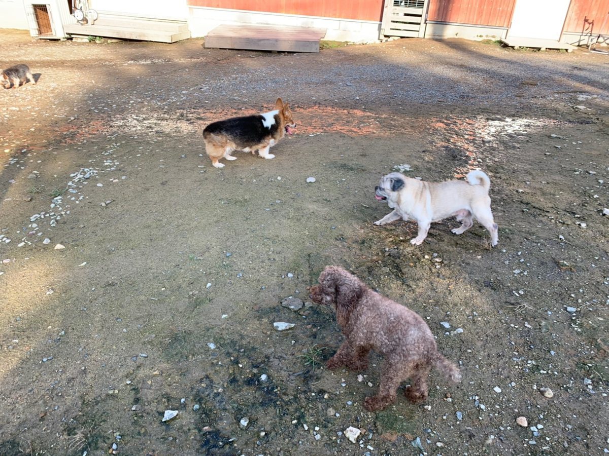 f:id:roukenhome-ann:20191027062344j:plain