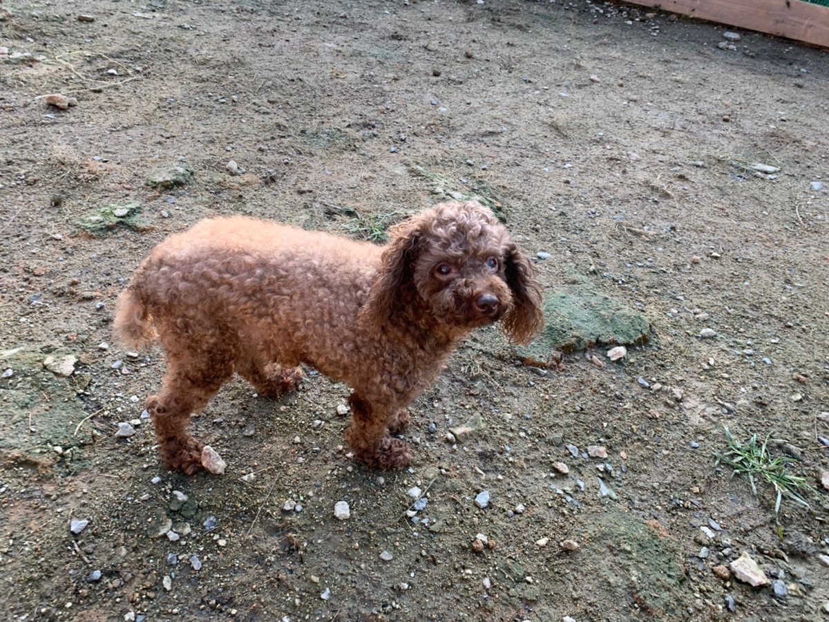 f:id:roukenhome-ann:20191027062355j:plain