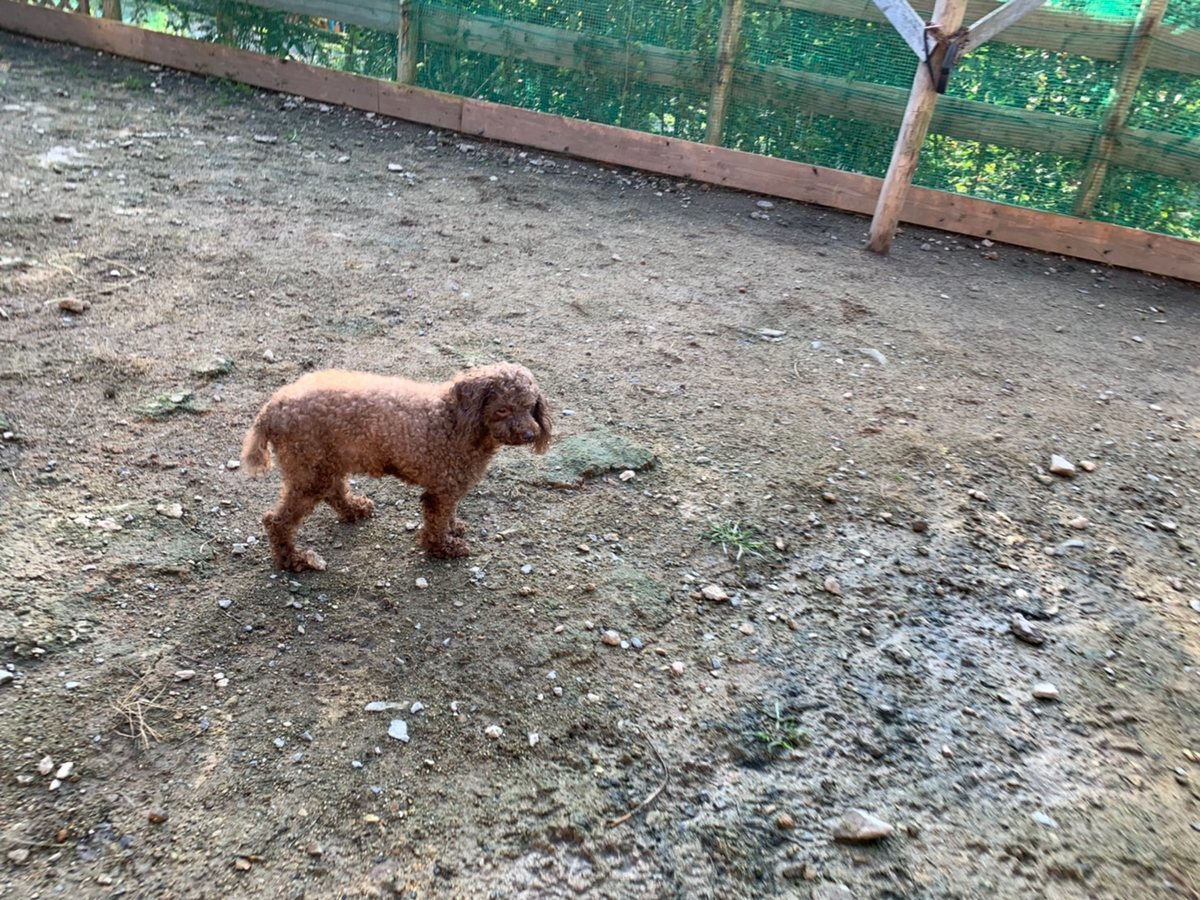 f:id:roukenhome-ann:20191027062409j:plain