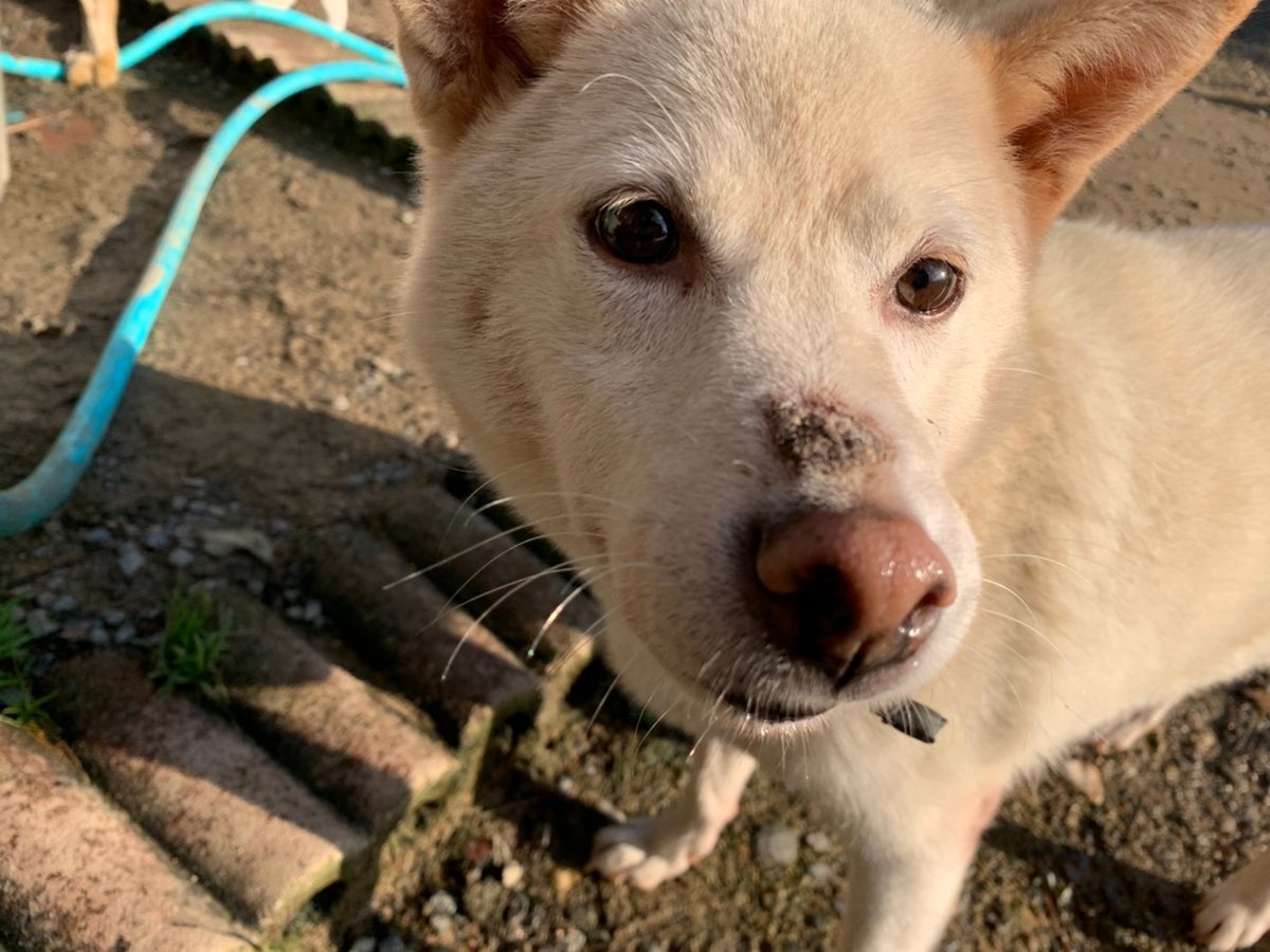 f:id:roukenhome-ann:20191027062417j:plain
