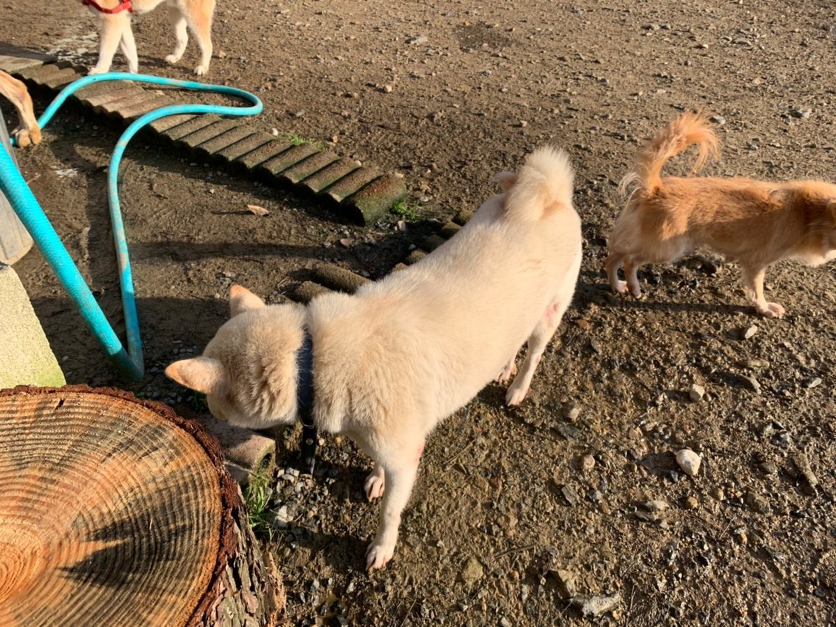 f:id:roukenhome-ann:20191027062427j:plain