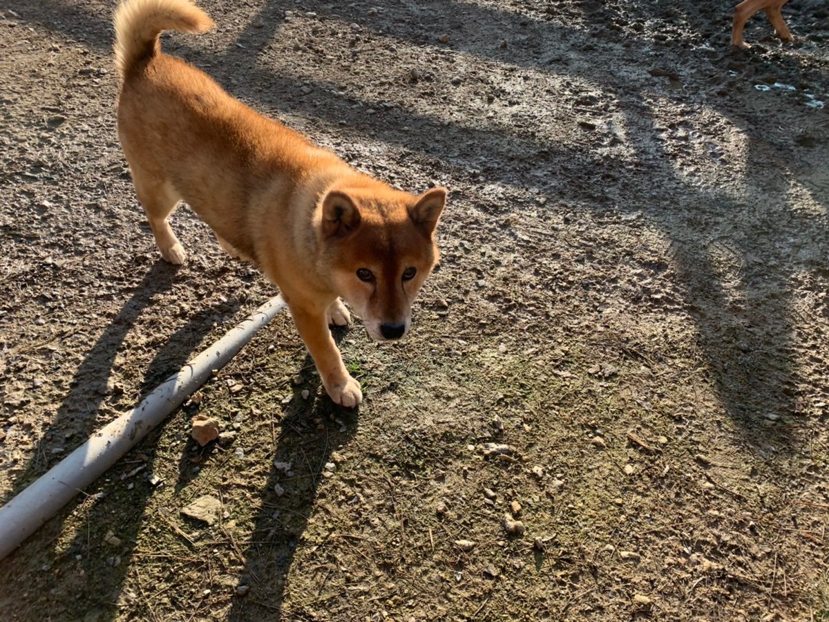 f:id:roukenhome-ann:20191027062448j:plain