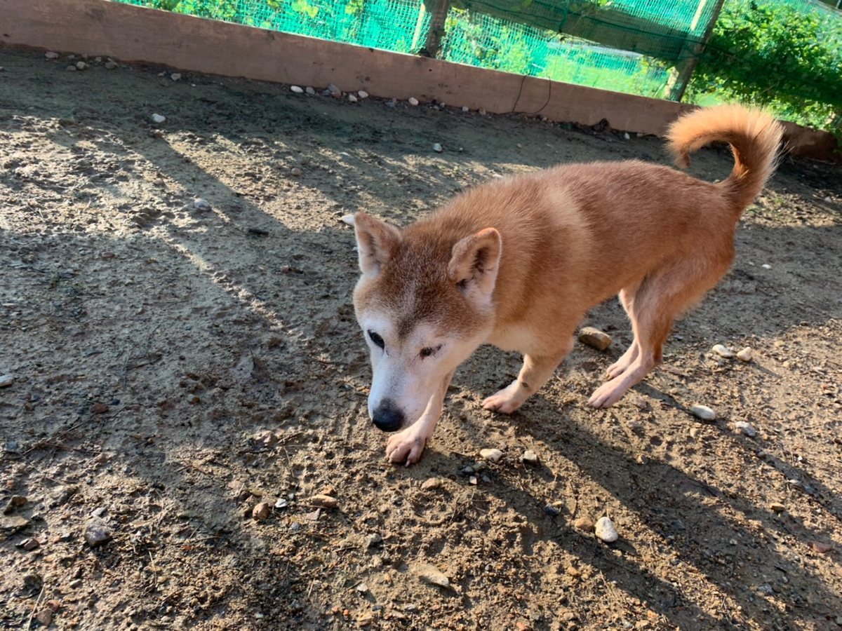 f:id:roukenhome-ann:20191027062524j:plain