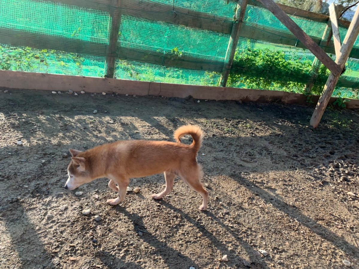 f:id:roukenhome-ann:20191027062533j:plain
