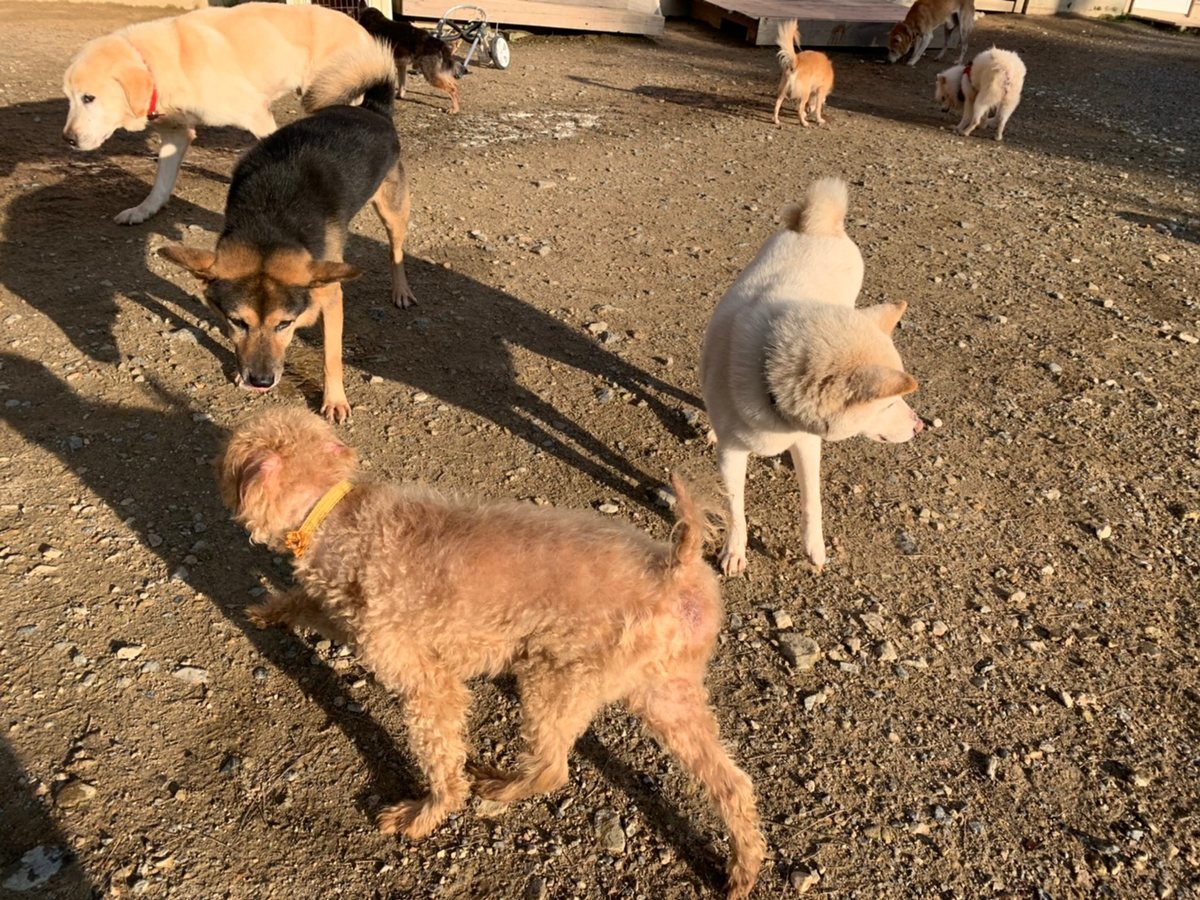 f:id:roukenhome-ann:20191027062542j:plain