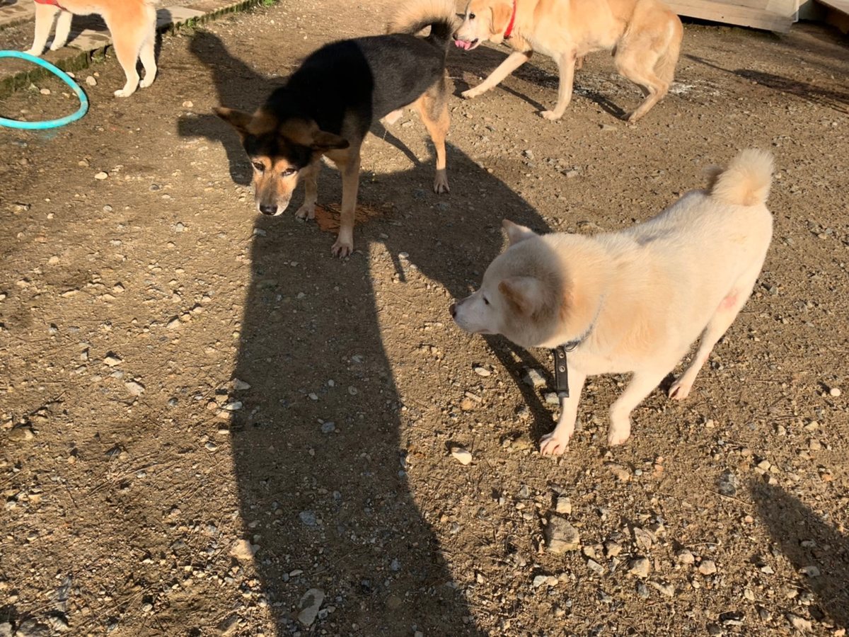 f:id:roukenhome-ann:20191027062557j:plain