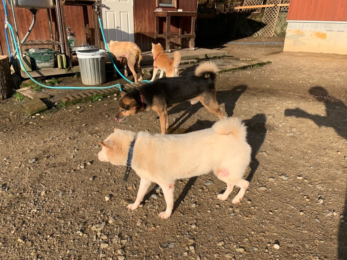 f:id:roukenhome-ann:20191027062606j:plain